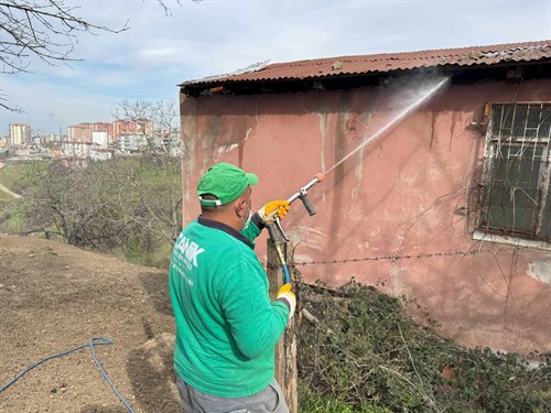 Canik Belediyesi'nden Kokarca Böceğine İlaçla Müdahale