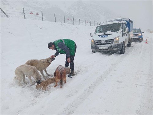 Can Dostların İmdadına Canik Belediyesi Koştu