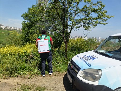 Canik'te Kokarca Böceğine Karşı Mücadelede Atak